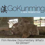 GoKunming评论（英文） 
